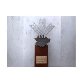 Compre Jamón de Bellota Ibérico 100 % D.O. Dehesa de Extremadura" etiqueta negra